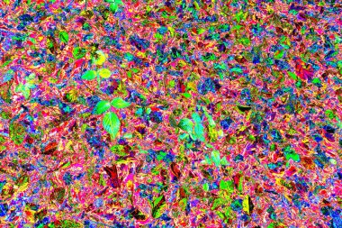 Yere düşen sarı yapraklar