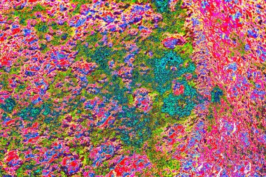 yaratıcı ve tasarım sanatı, kopyalama alanı duvar kağıdı, soyut renkli doku arkaplanı  