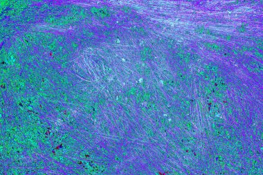 İlkbaharda ormanın kenarında kuru otlar. Transcarpathia