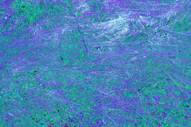 İlkbaharda ormanın kenarında kuru otlar. Transcarpathia