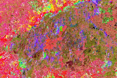 Taşların üzerinde bitkiler