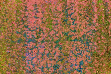 yaratıcı ve tasarım sanatı, kopyalama alanı duvar kağıdı, soyut renkli doku arkaplanı  