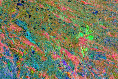 Nehrin kenarındaki uçurum. Transcarpathia