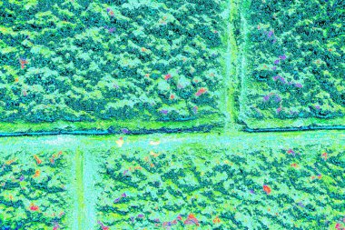 yaratıcı ve tasarım sanatı, kopyalama alanı duvar kağıdı, soyut renkli doku arkaplanı  