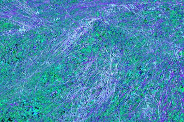 İlkbaharda ormanın kenarında kuru otlar. Transcarpathia