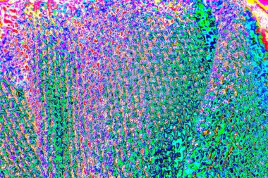 Soyut neon renkler çizik ve çatlaklarla dokulu duvar. 