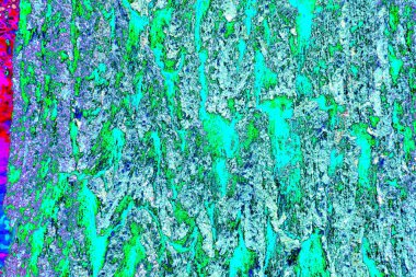 Bir meşe ağacının kabuğu