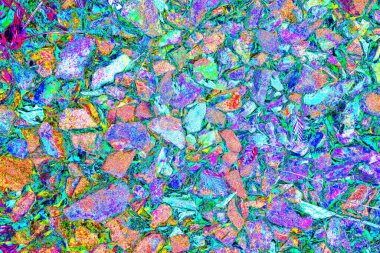 Doğada kayalık yol