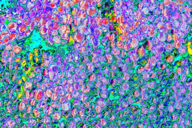 yaratıcı ve tasarım sanatı, kopyalama alanı duvar kağıdı, soyut renkli doku arkaplanı