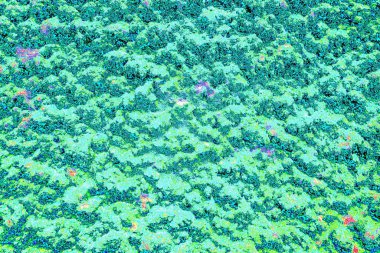 yaratıcı ve tasarım sanatı, kopyalama alanı duvar kağıdı, soyut renkli doku arkaplanı  