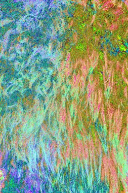 İşlemde koyun yünü