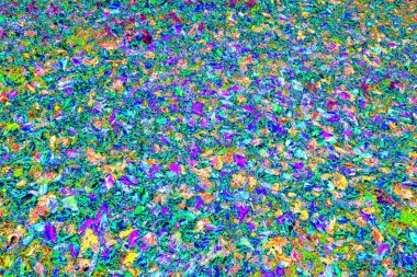 Yere düşen sarı yapraklar