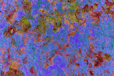 Yangın sonrası çorak arazi: kuru zemin, yanmış kuru saman