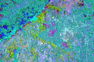 Taşların üzerinde bitkiler