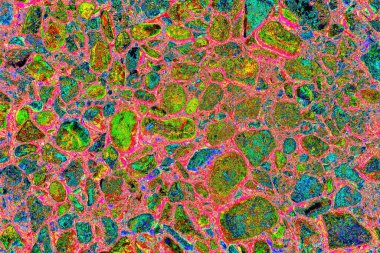 Doğada kayalık yol