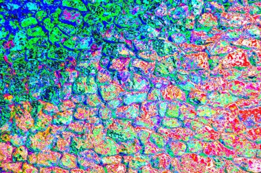 Soyut neon renkler çizik ve çatlaklarla dokulu duvar. 