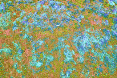 Yangın sonrası çorak arazi: kuru zemin, yanmış kuru saman