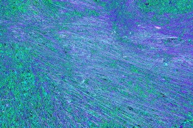 İlkbaharda ormanın kenarında kuru otlar. Transcarpathia