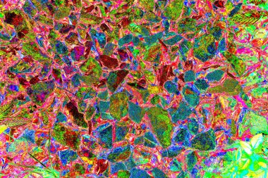 Doğada kayalık yol