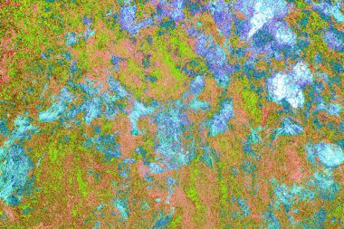 Yangın sonrası çorak arazi: kuru zemin, yanmış kuru saman