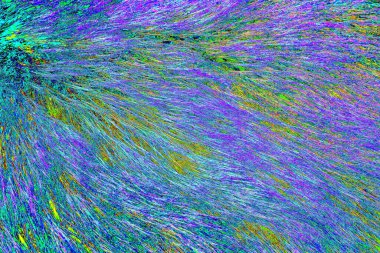 Yaban domuzu kürkü, vahşi hayvan, yaklaşın.