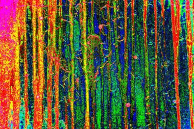 yaratıcı ve tasarım sanatı, kopyalama alanı duvar kağıdı, soyut renkli doku arkaplanı  