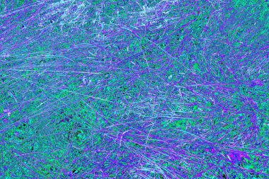 İlkbaharda ormanın kenarında kuru otlar. Transcarpathia