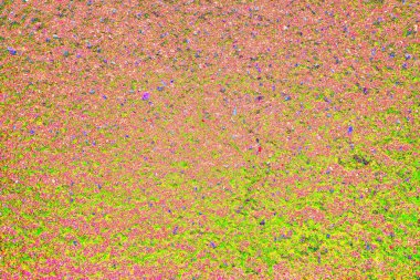 Arkaplan olarak kullanılmak üzere küçük taşlarla sıvanmış duvarın görüntüsü.