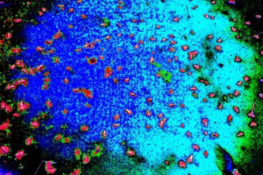 yaratıcı ve tasarım sanatı, kopyalama alanı duvar kağıdı, soyut renkli doku arkaplanı