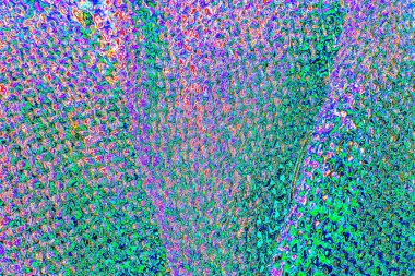 Soyut neon renkler çizik ve çatlaklarla dokulu duvar. 