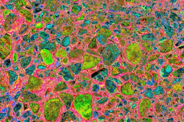 Doğada kayalık yol