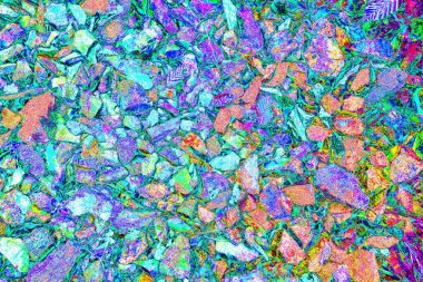 Doğada kayalık yol