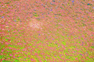 Arkaplan olarak kullanılmak üzere küçük taşlarla sıvanmış duvarın görüntüsü.