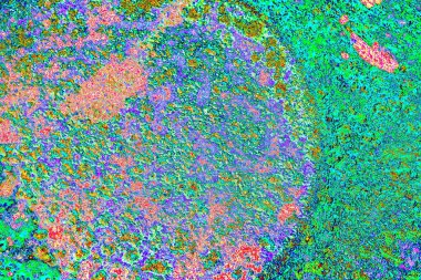 yaratıcı ve tasarım sanatı, kopyalama alanı duvar kağıdı, soyut renkli doku arkaplanı  