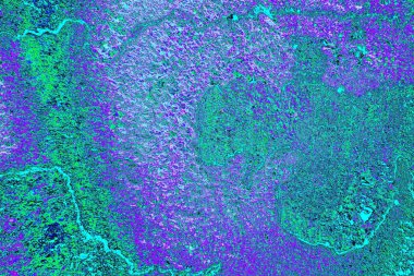 Bahçede yeni kesilmiş bir ağaç kütüğü