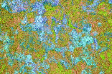 Yangın sonrası çorak arazi: kuru zemin, yanmış kuru saman