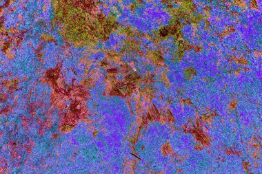 Yangın sonrası çorak arazi: kuru zemin, yanmış kuru saman