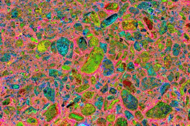 Doğada kayalık yol