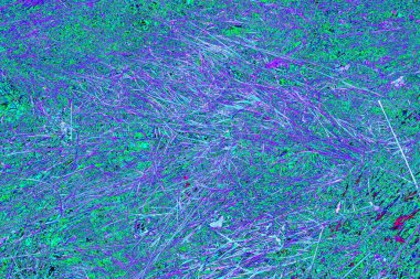 İlkbaharda ormanın kenarında kuru otlar. Transcarpathia