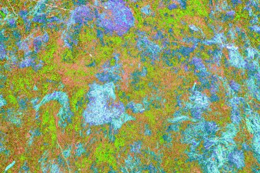 Yangın sonrası çorak arazi: kuru zemin, yanmış kuru saman