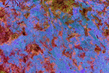 Yangın sonrası çorak arazi: kuru zemin, yanmış kuru saman