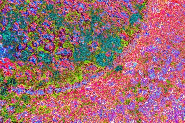 yaratıcı ve tasarım sanatı, kopyalama alanı duvar kağıdı, soyut renkli doku arkaplanı  