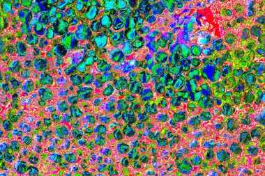 Soyut neon renkler çizik ve çatlaklarla dokulu duvar. 