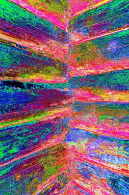 soyut neon renkleri desenli dekoratif arkaplan