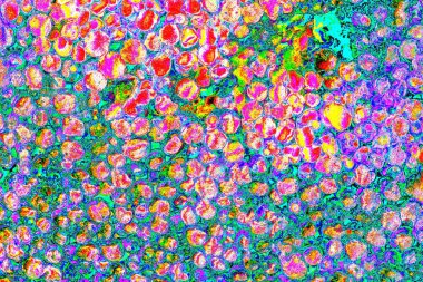 yaratıcı ve tasarım sanatı, kopyalama alanı duvar kağıdı, soyut renkli doku arkaplanı