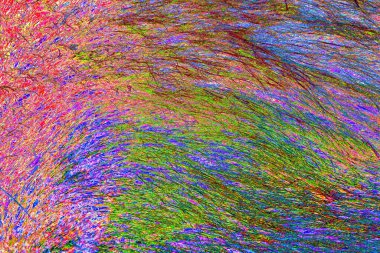 Yaban domuzu kürkü, vahşi hayvan, yaklaşın.