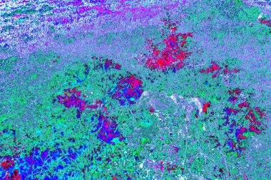 Taşların üzerinde bitkiler