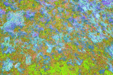 Yangın sonrası çorak arazi: kuru zemin, yanmış kuru saman