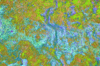 Yangın sonrası çorak arazi: kuru zemin, yanmış kuru saman