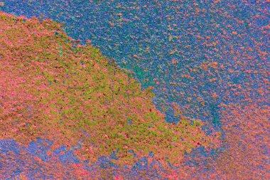 Arkaplan olarak kullanmak için duvarın resmi.